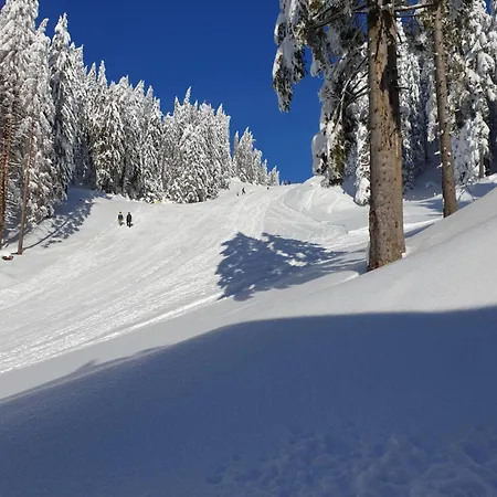 Apartmaji Golob-golte Lägenhet *