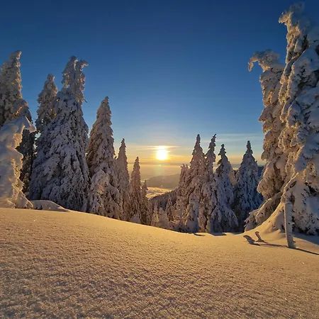 Apartmaji Golob-golte Mozirje