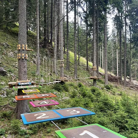 Apartmaji Golob-golte * Mozirje