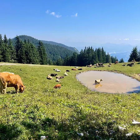 Apartamento Apartmaji Golob-golte *