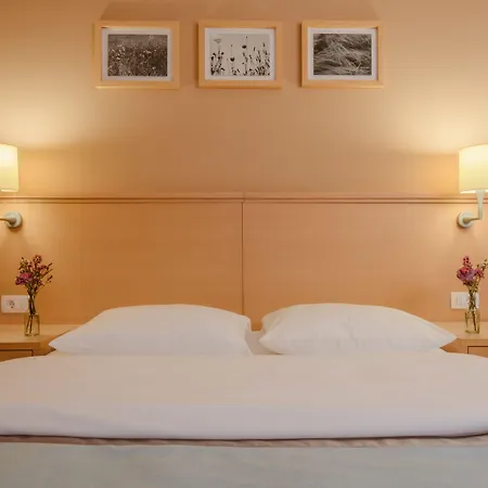 Apartmaji Golob-golte Mozirje