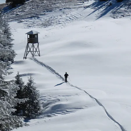 Apartamento Apartmaji Golob-golte *