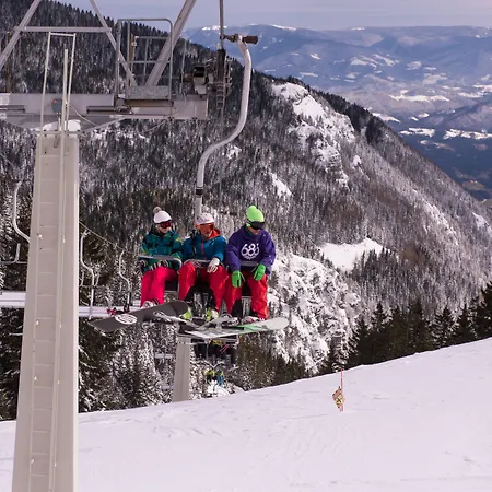 Apartmaji Golob-golte * Mozirje