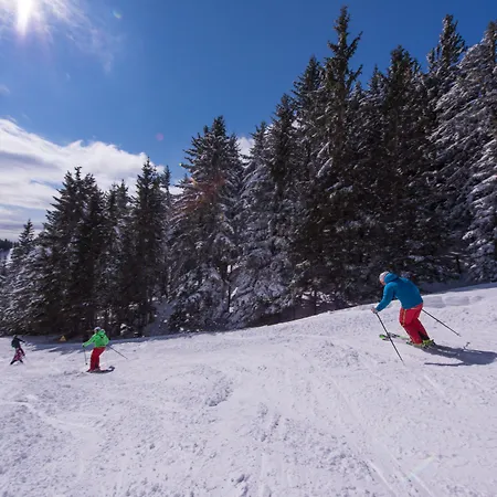 Apartmaji Golob-golte Lägenhet *