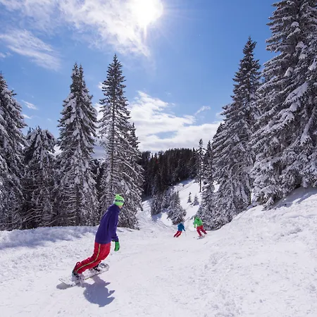 Apartamento Apartmaji Golob-golte *