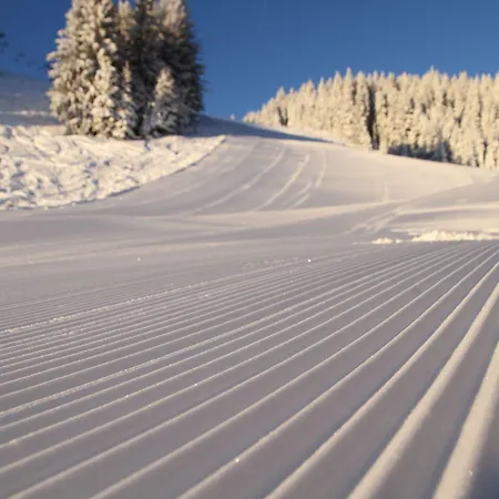 Apartmaji Golob-golte Mozirje