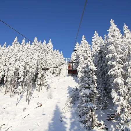 Apartmaji Golob-golte Mozirje