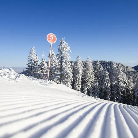 Apartmaji Golob-golte Lägenhet Mozirje