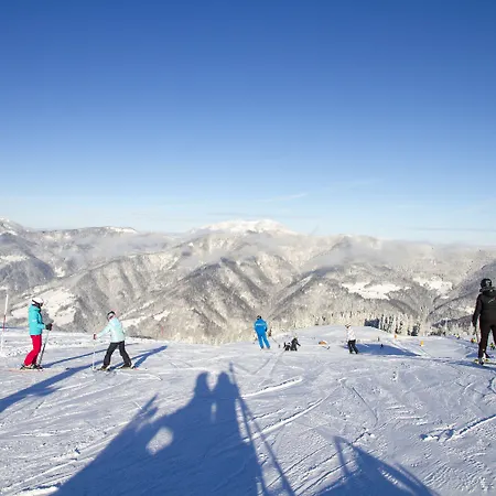 Apartmaji Golob-golte * Mozirje