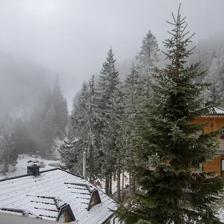 Apartmaji Golob-golte *