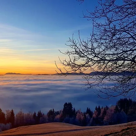 Apartmaji Golob-golte *