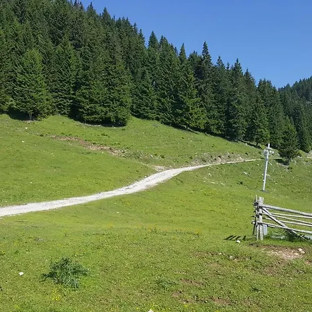 Apartmaji Golob-golte Lägenhet Mozirje