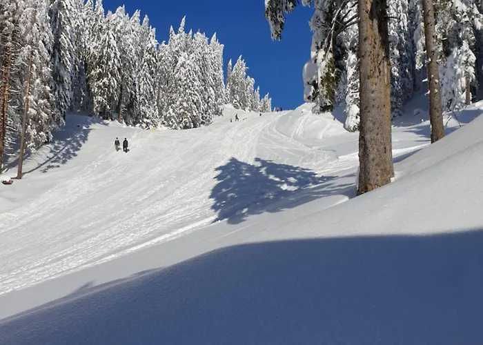 Apartmaji Golob-golte Lejlighed *