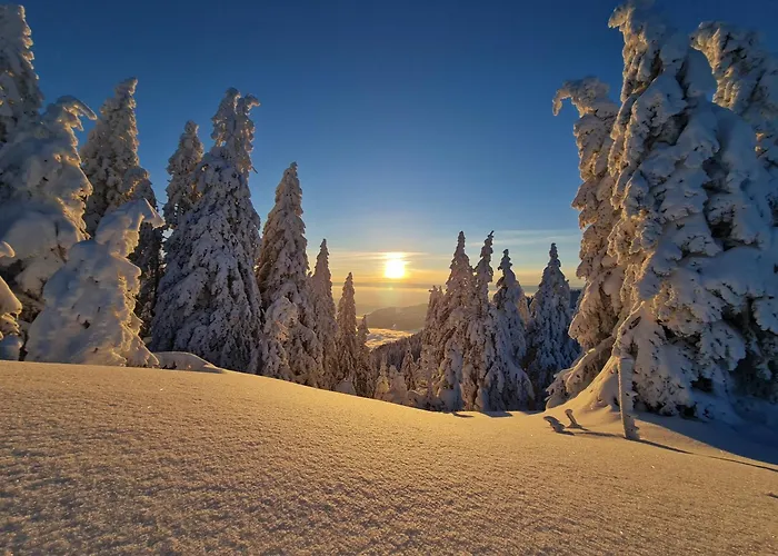 Apartmaji Golob-golte Mozirje