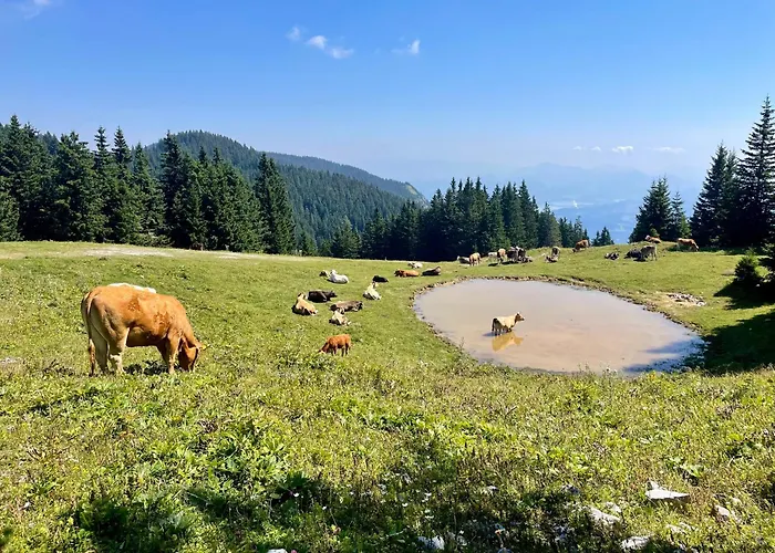 Appartamento Apartmaji Golob-golte *