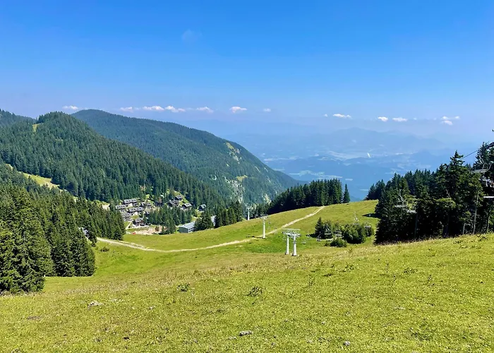 Apartmaji Golob-golte Mozirje