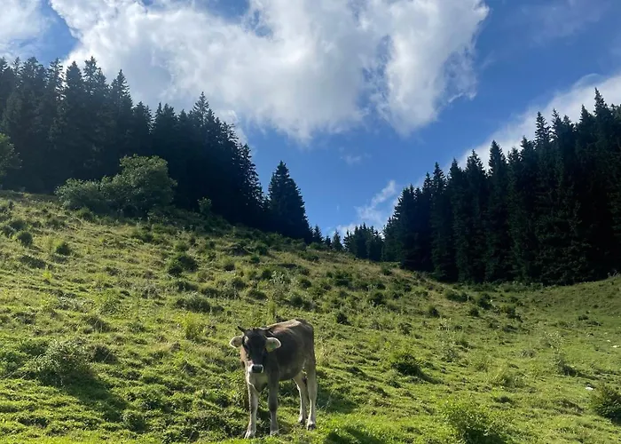 Apartmaji Golob-golte * Mozirje