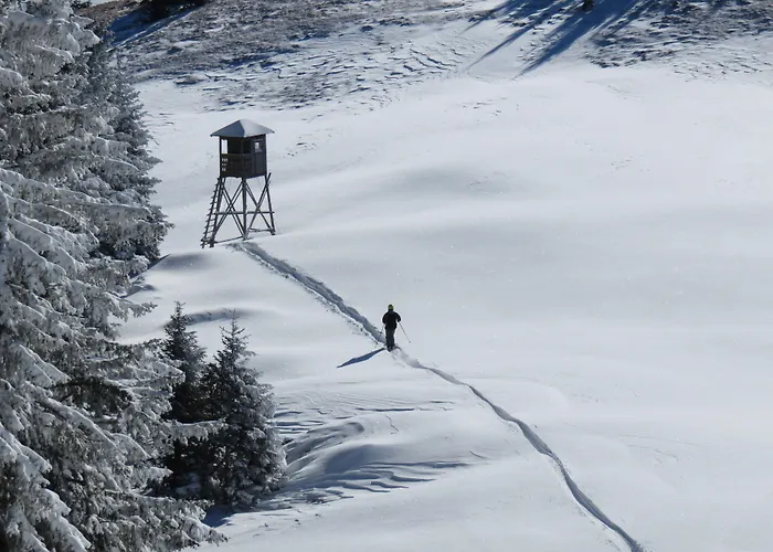 Lejlighed Apartmaji Golob-golte *