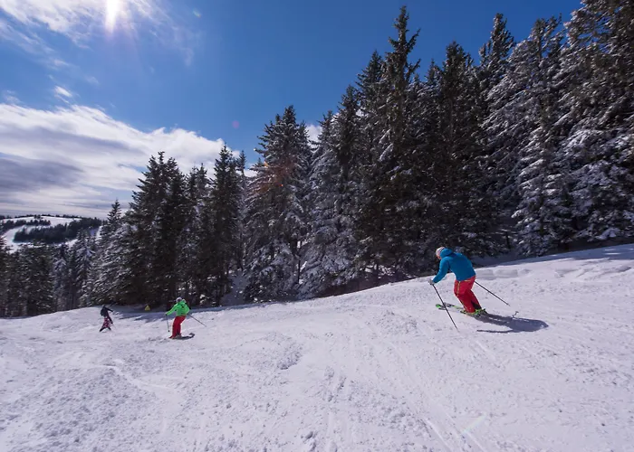 Apartmaji Golob-golte Appartamento *