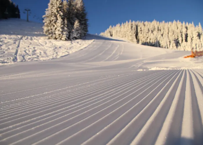 Apartmaji Golob-golte Mozirje