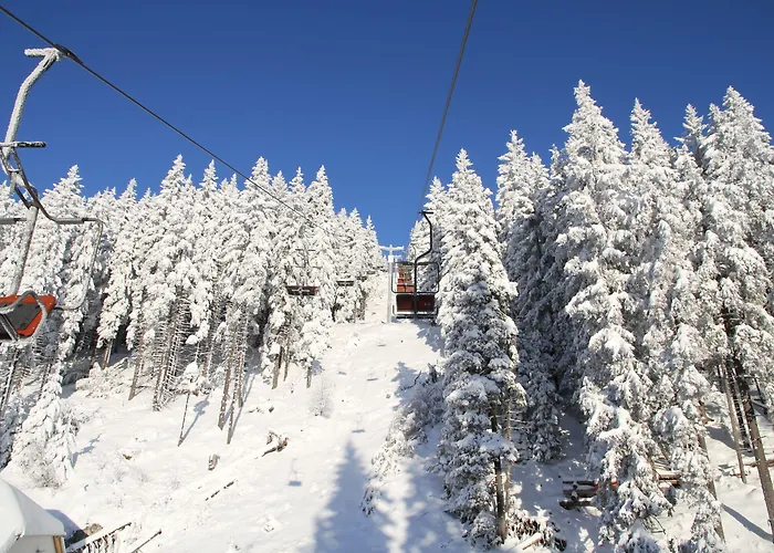 Apartmaji Golob-golte Mozirje