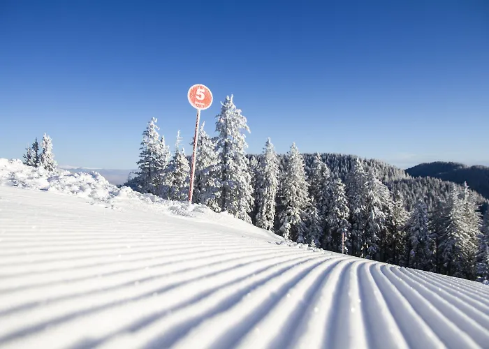 Apartmaji Golob-golte Lejlighed Mozirje