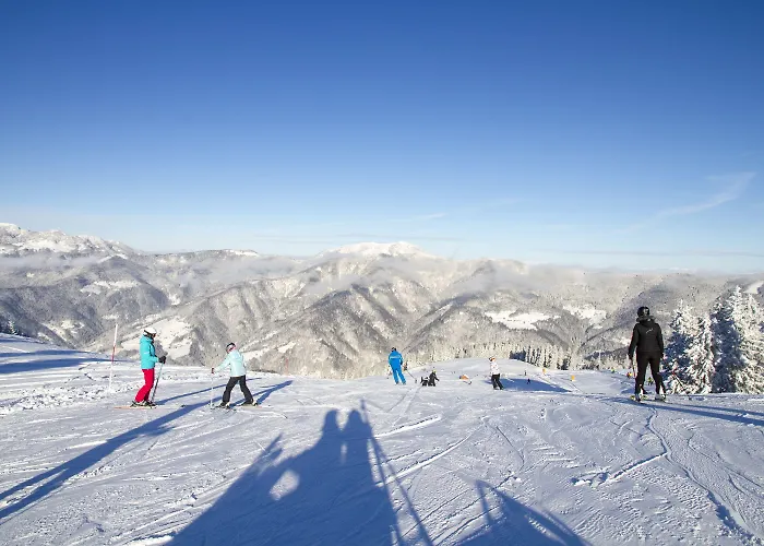 Apartmaji Golob-golte * Mozirje