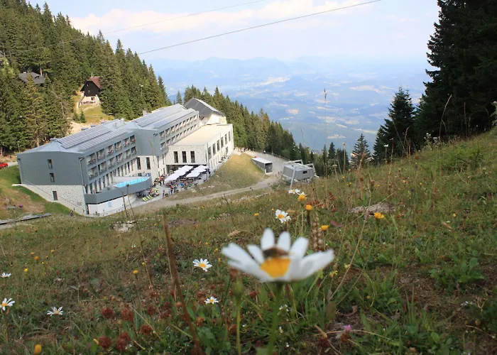 Apartmaji Golob-golte Mozirje