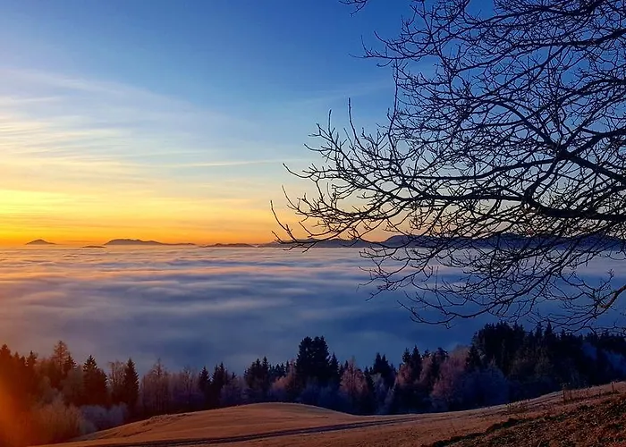 Apartmaji Golob-golte *